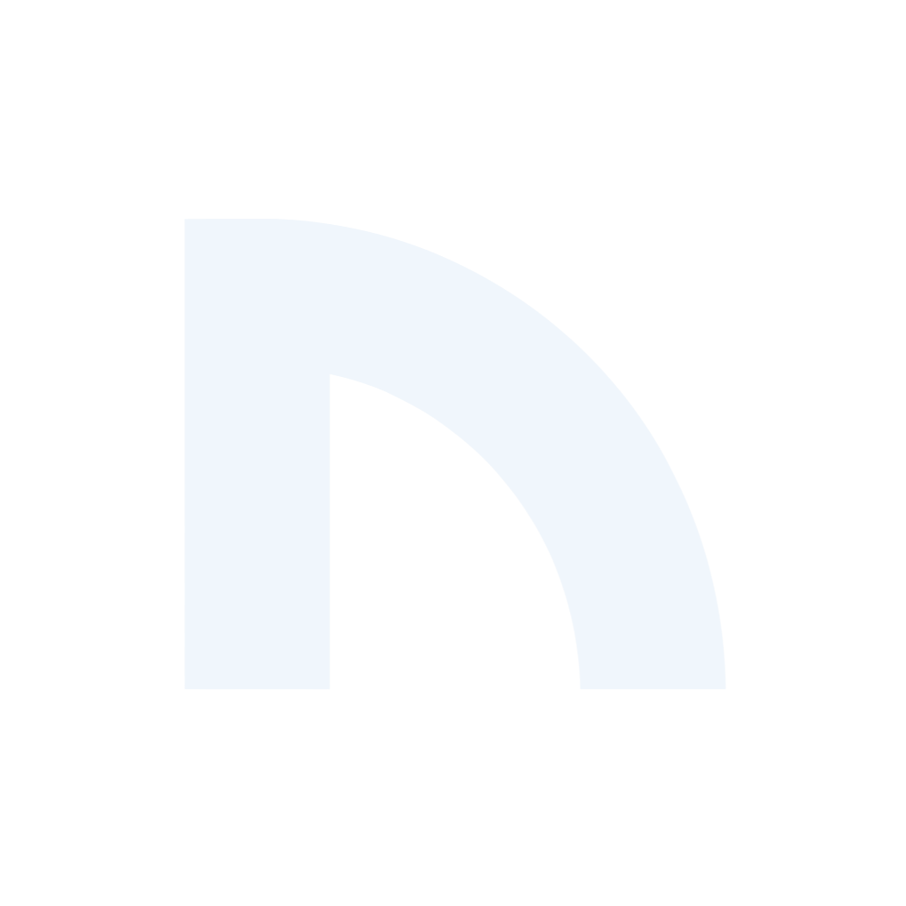NetSpace Logo